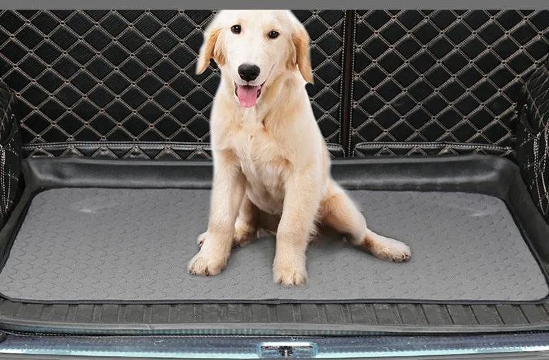 Durable & Waterproof Pee Pad