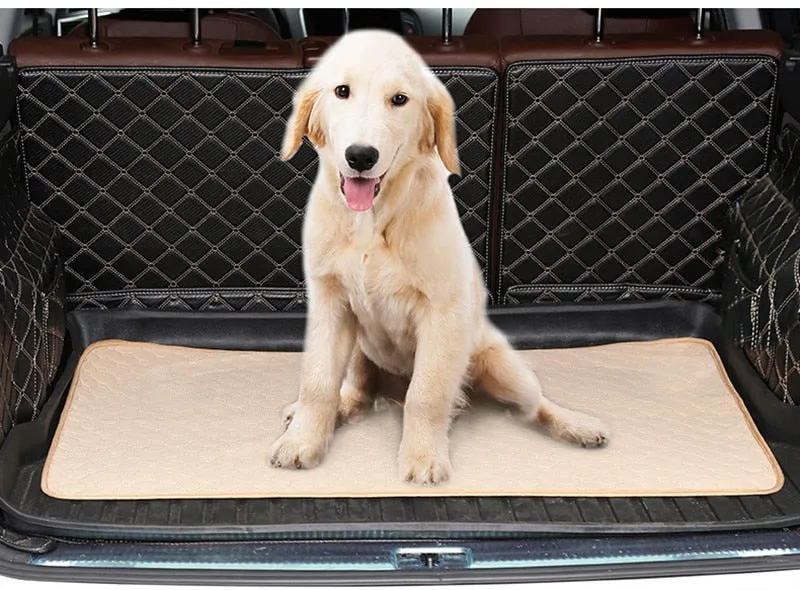 Durable & Waterproof Pee Pad