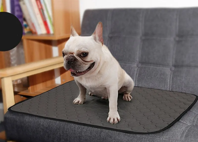 Durable & Waterproof Pee Pad