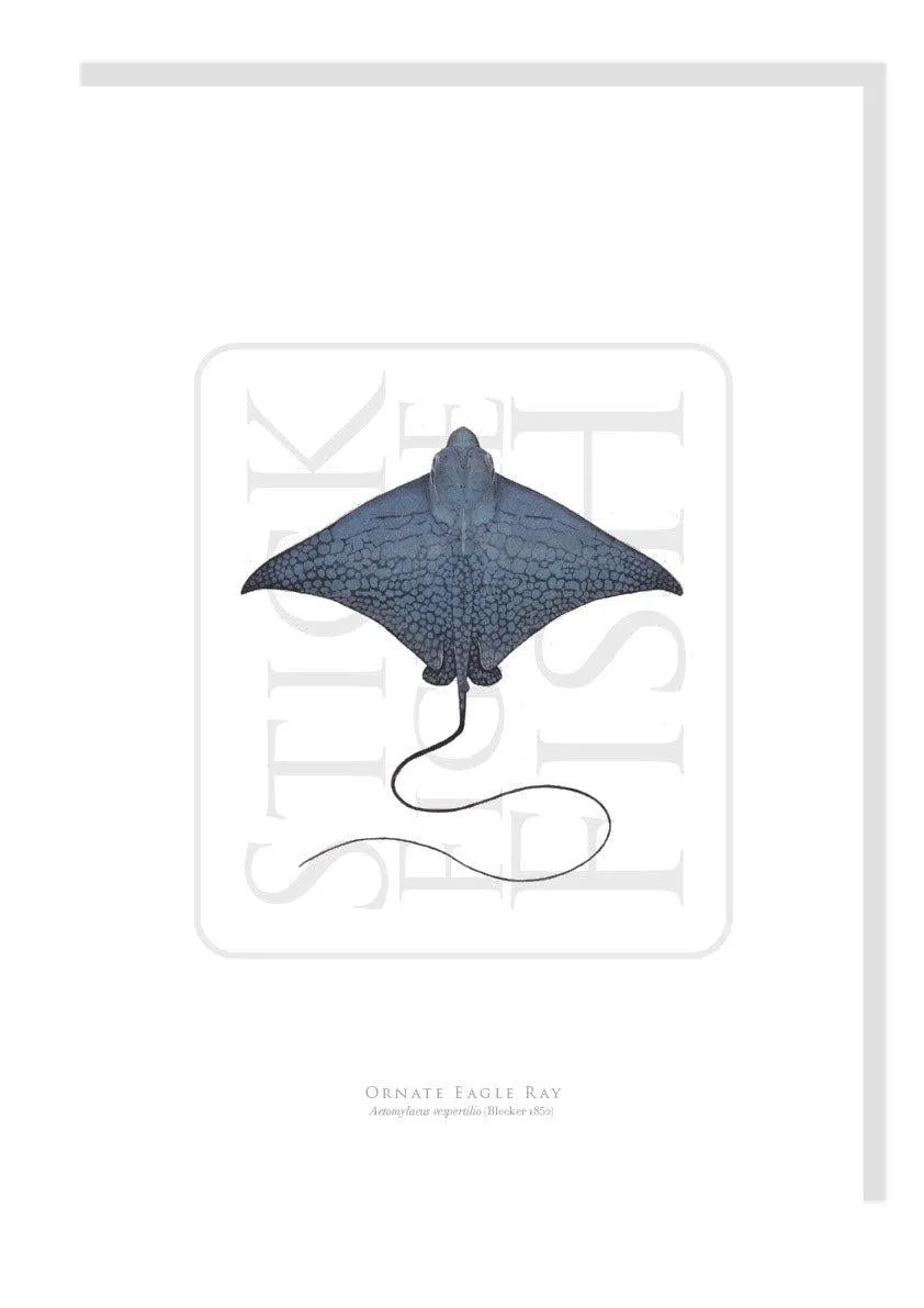 Ornate Eagle Ray - Fine Art Print