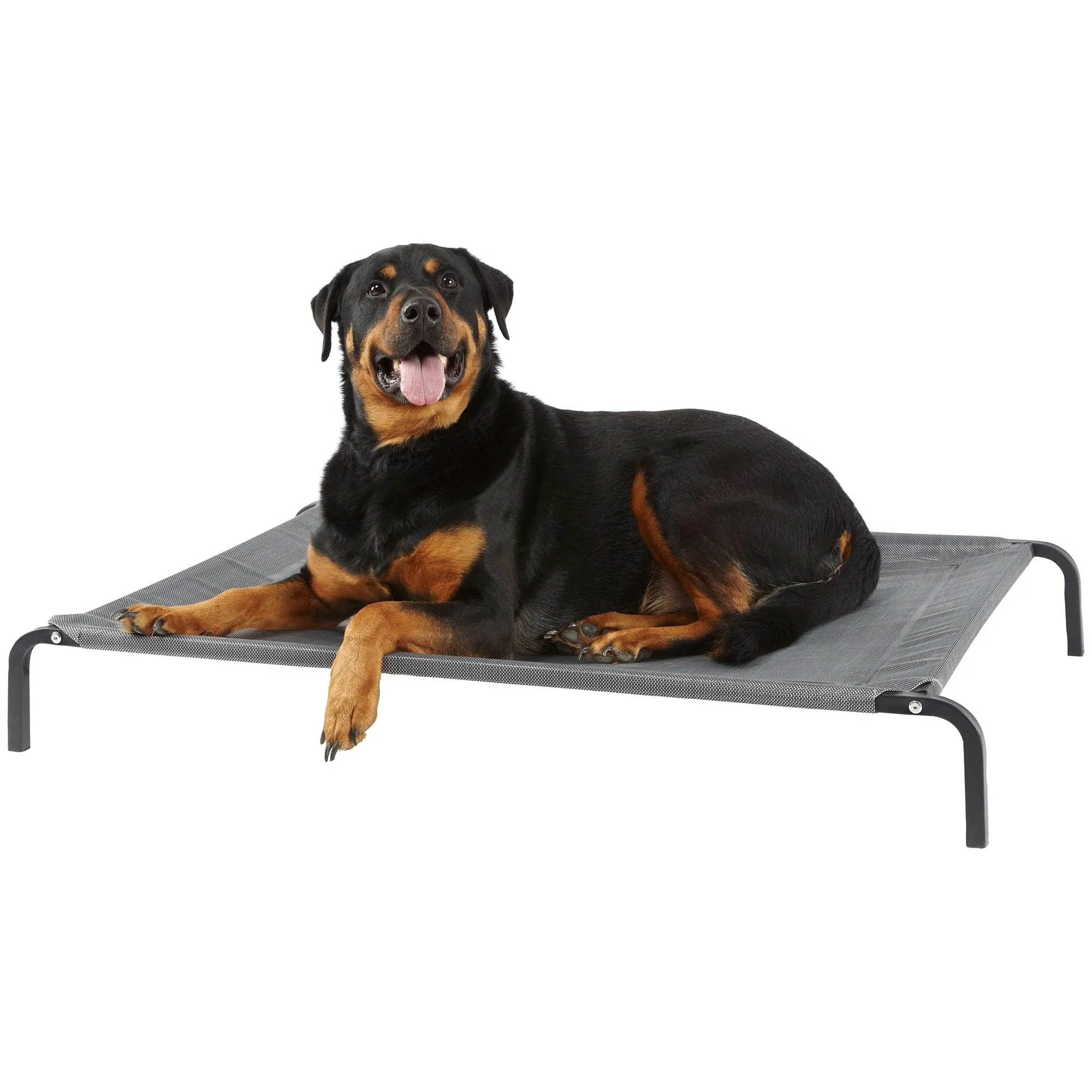Raised Dog Bed, Elevated, Waterproof Outdoor - Bunty