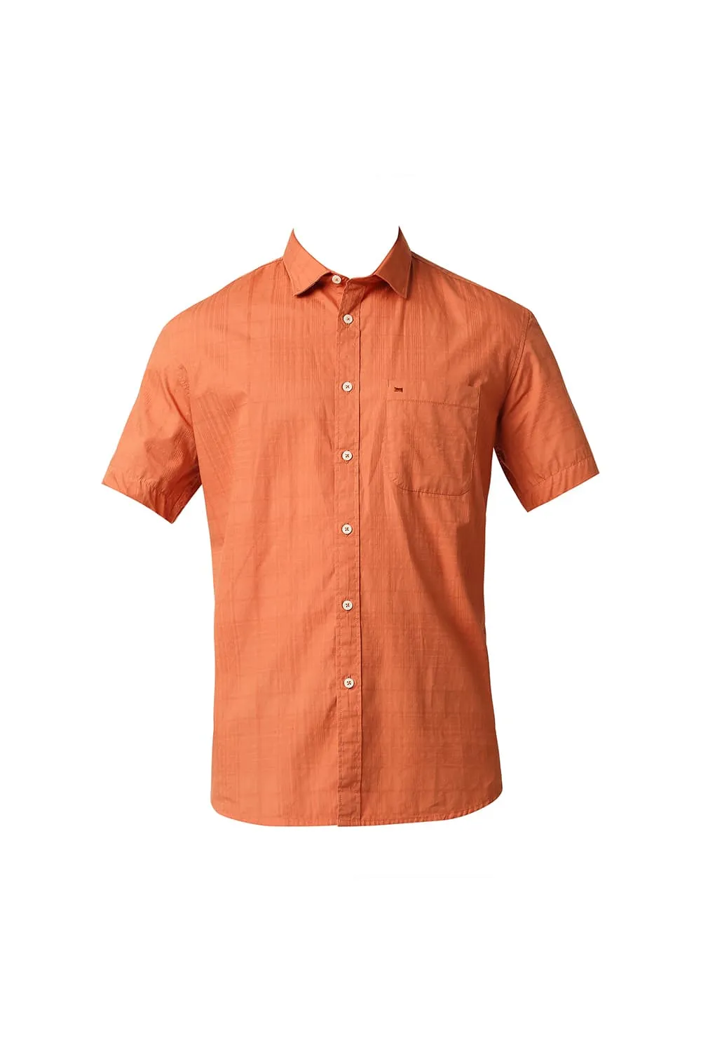 Slim Fit Dobby Checks Halfsleeves Shirt